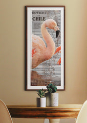 Flamenco Arte Escala - Lámina - Mappin