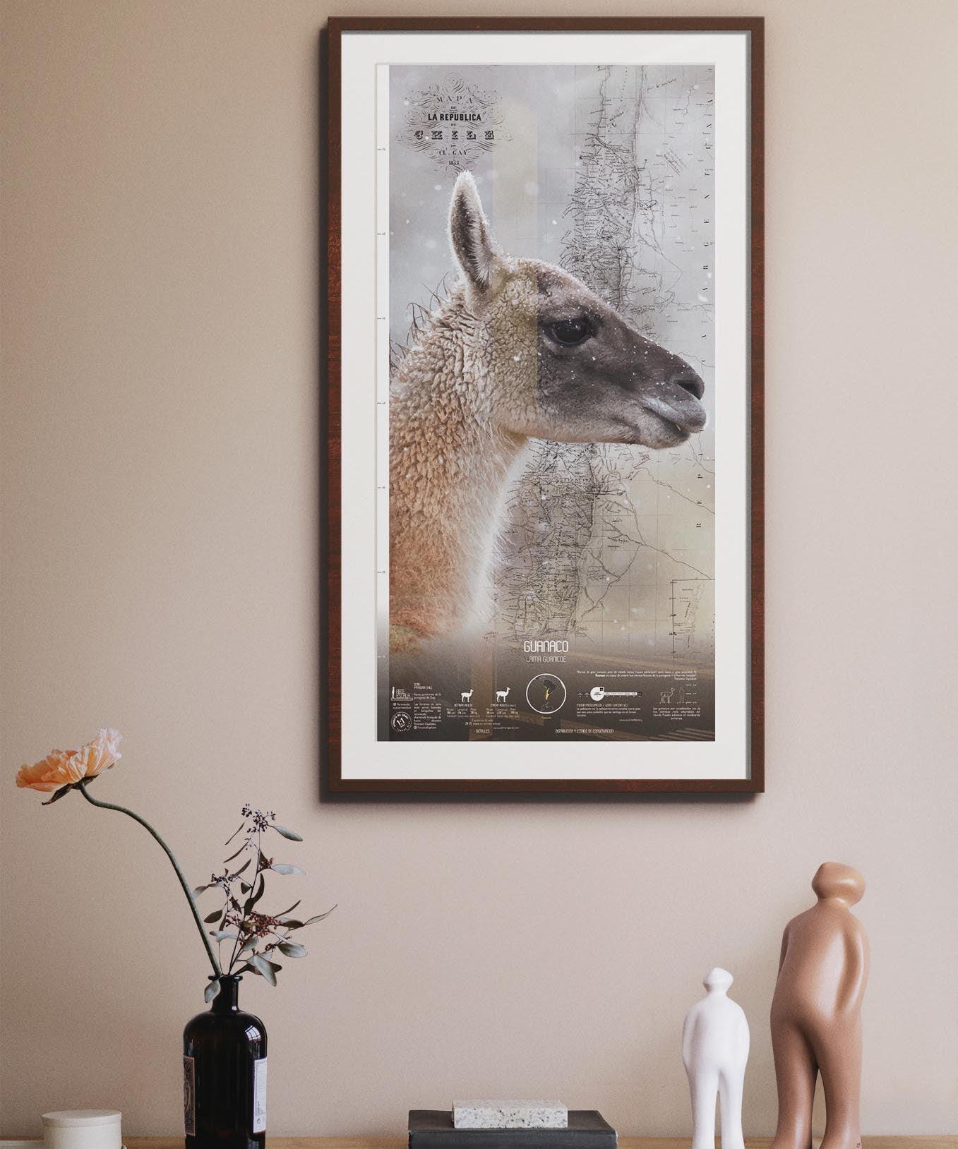 Guanaco Arte Escala - Lámina - Mappin