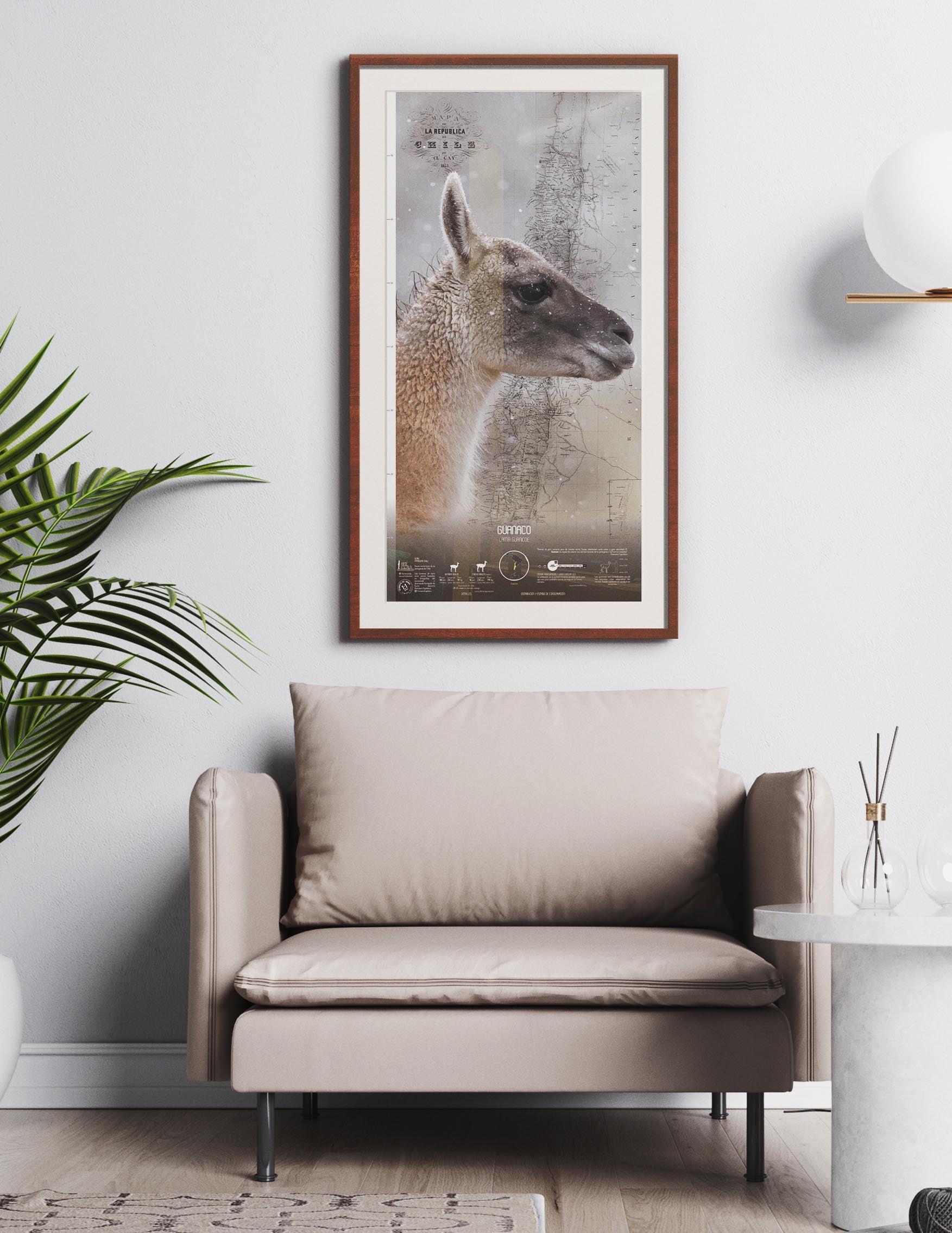 Guanaco Arte Escala - Lámina - Mappin