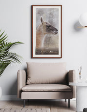 Guanaco Arte Escala - Lámina - Mappin