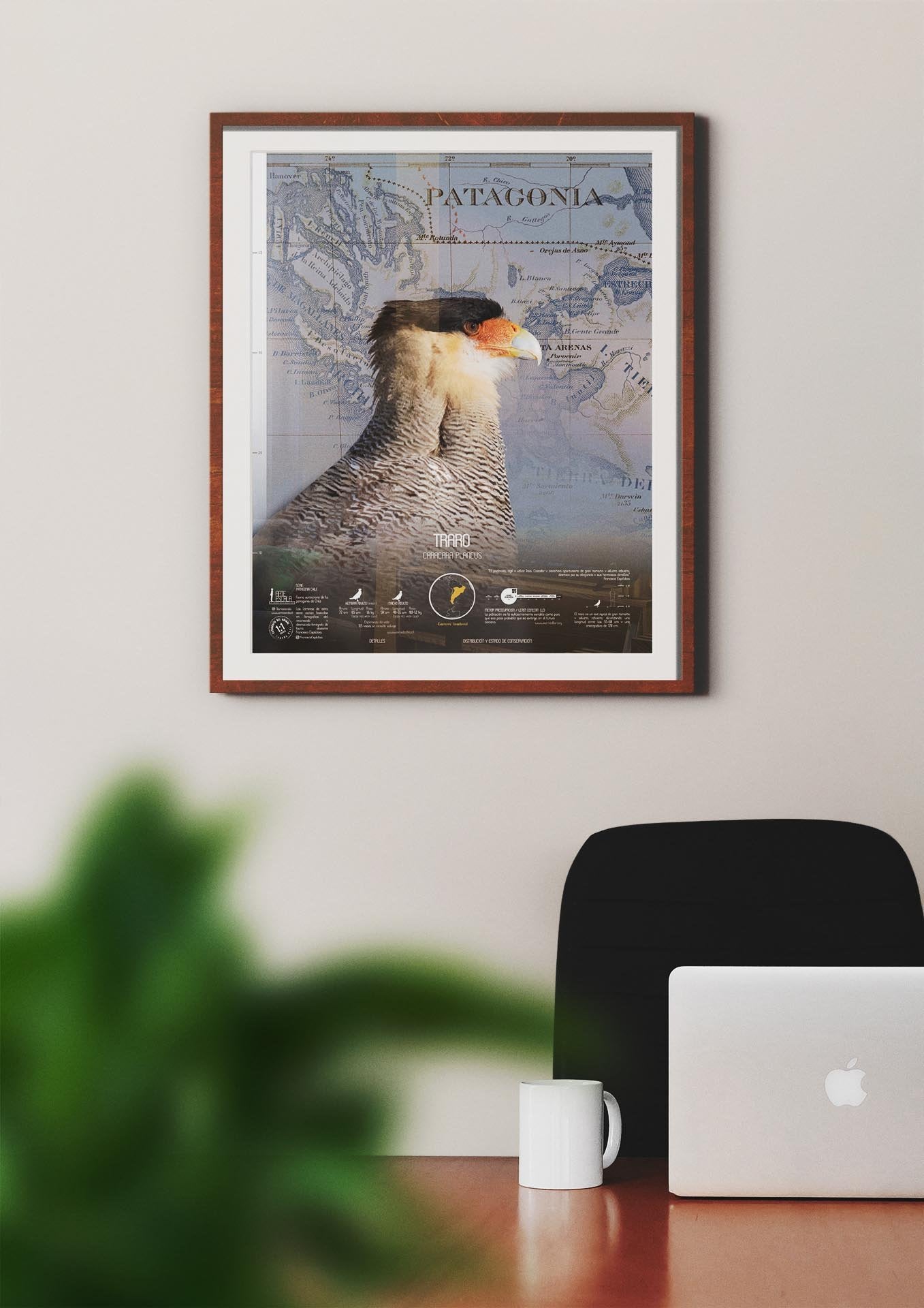 Traro Arte Escala - Lámina