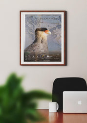 Traro Arte Escala - Lámina