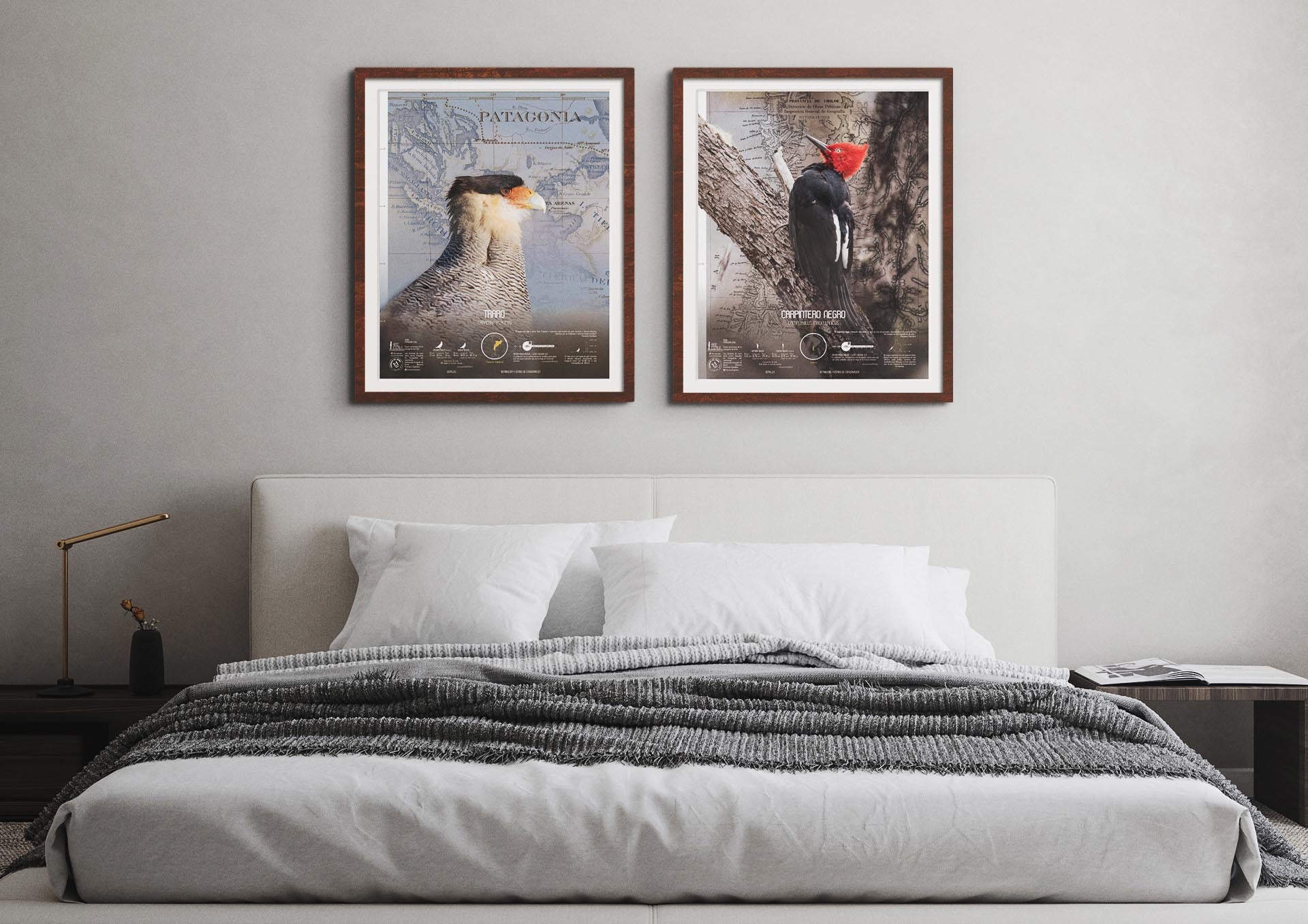 Traro Arte Escala - Lámina