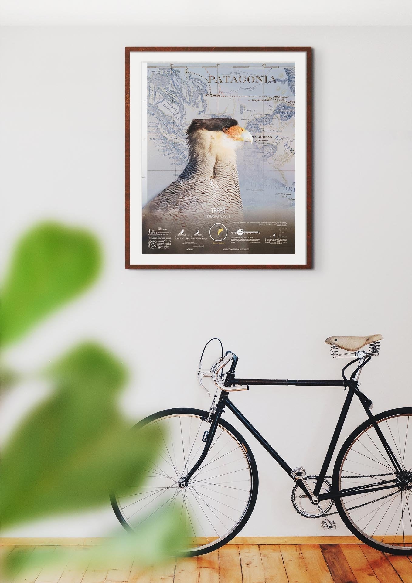 Traro Arte Escala - Lámina