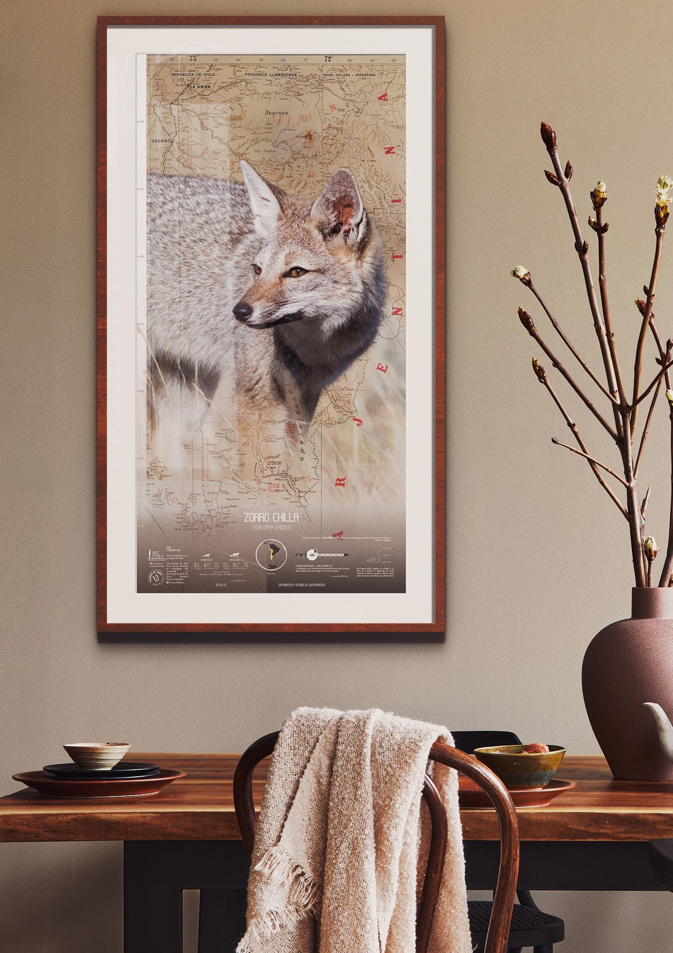 Zorro Chilla Arte Escala - Lámina