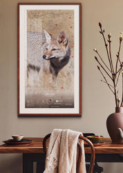 Zorro Chilla Arte Escala - Lámina