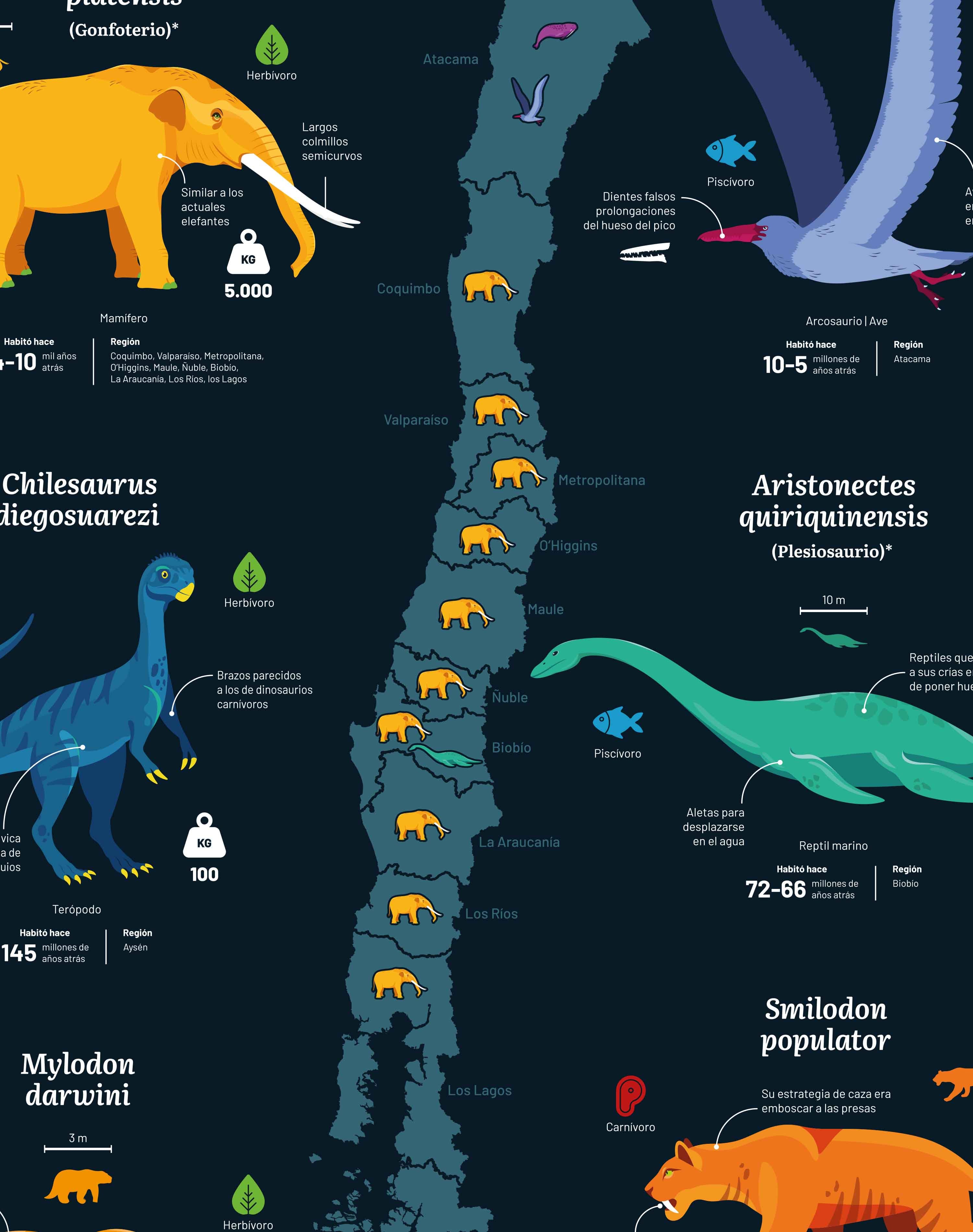 Mapa de Animales Prehistóricos de Chile - Enmarcado A PEDIDO