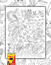 Búhos de Chile - Lámina Coloreable con Lápices