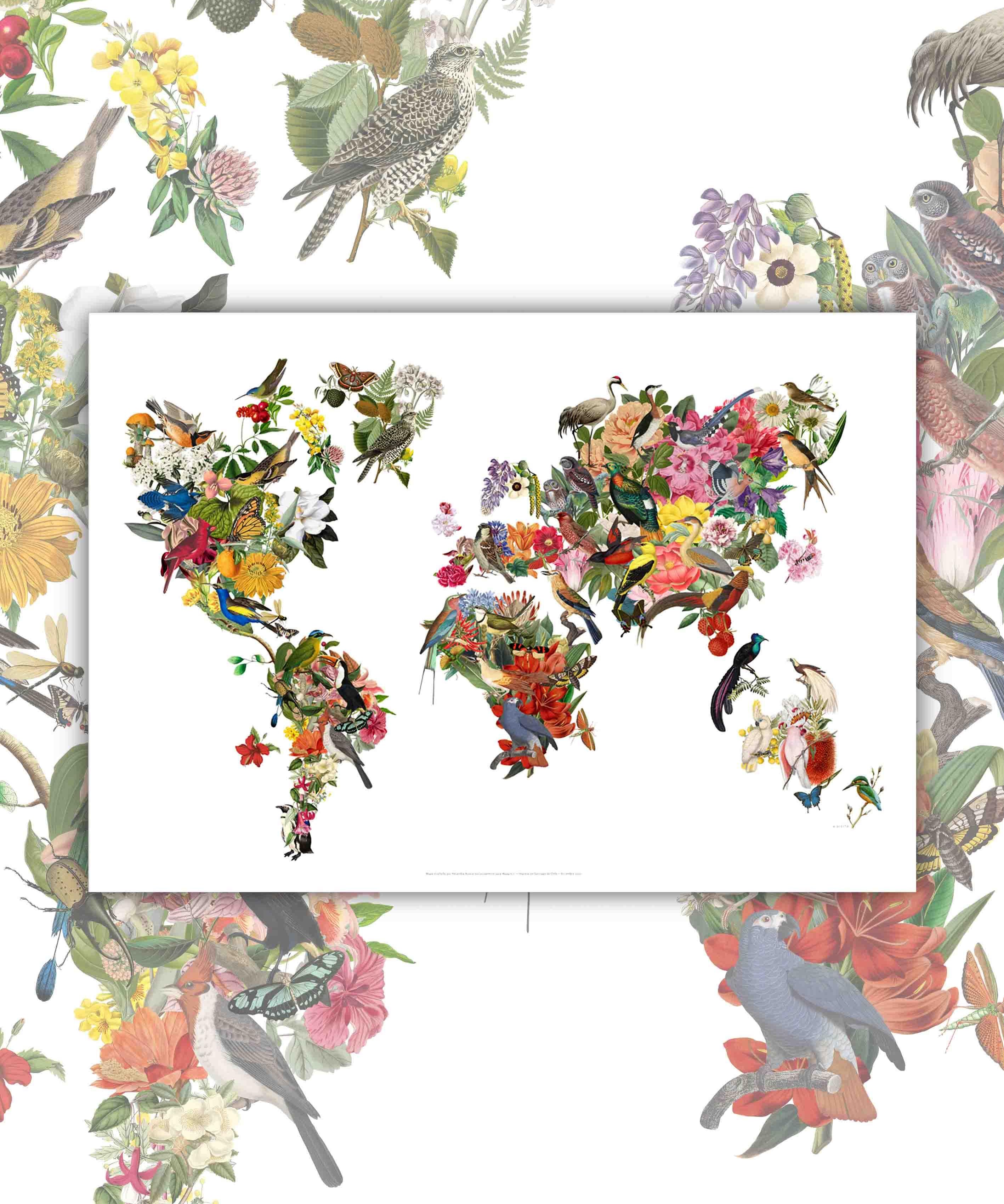 Mapa del Mundo Paraíso - Lámina - Mappin