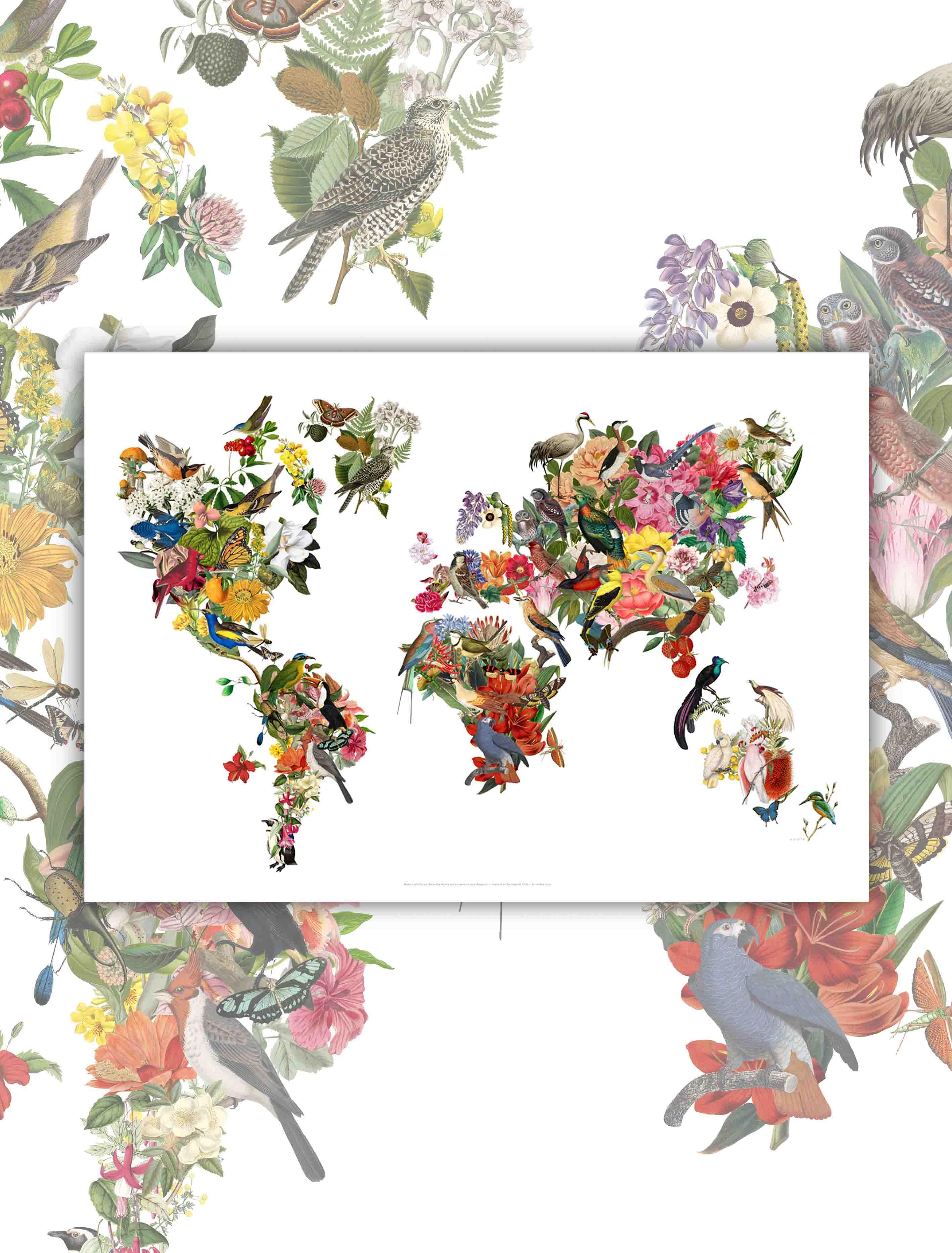 Mapa del Mundo Paraíso - Lámina - Mappin