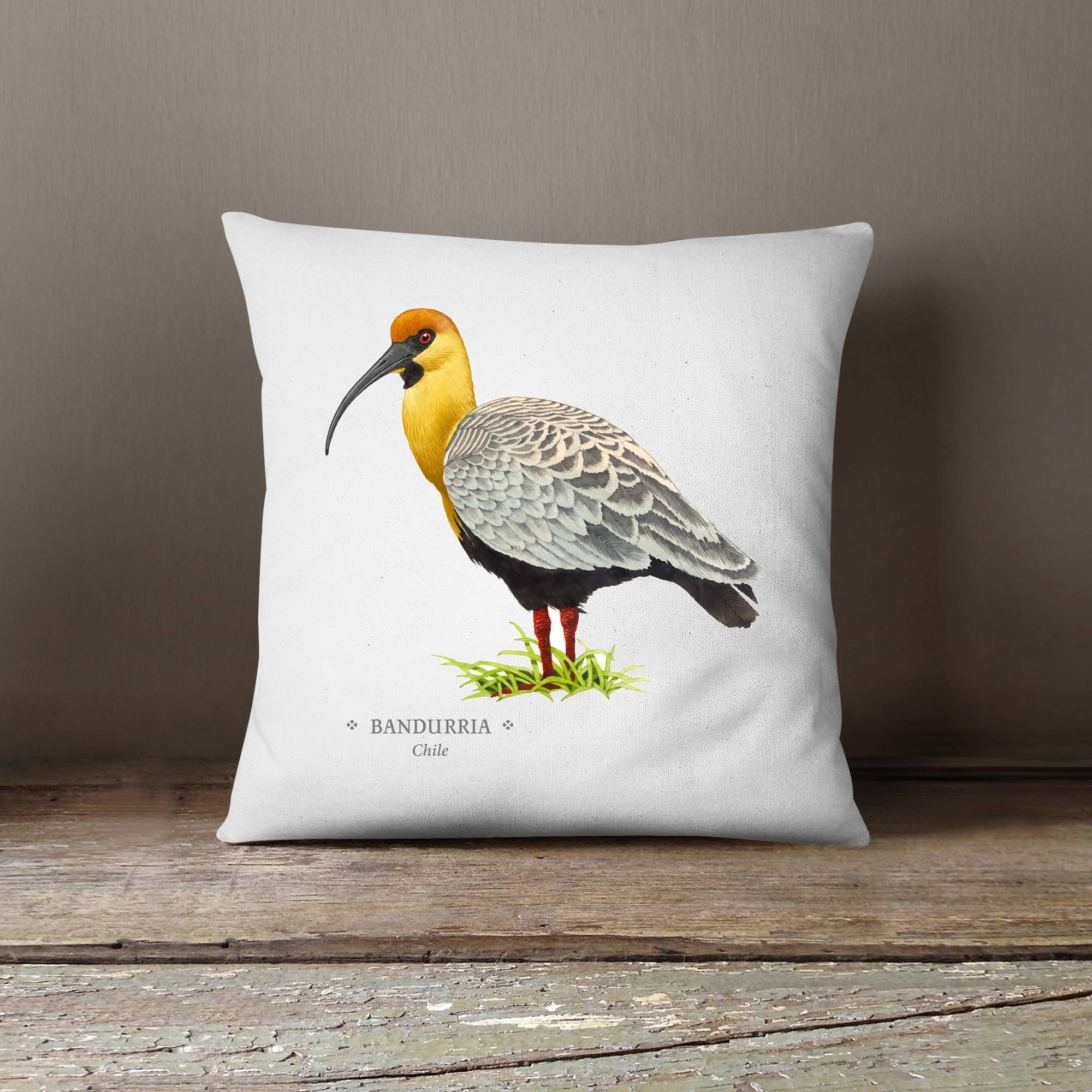 Funda cojín Bandurria