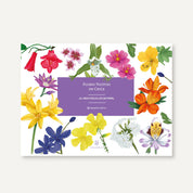 Individuales de Flores nativas de Chile ilustradas