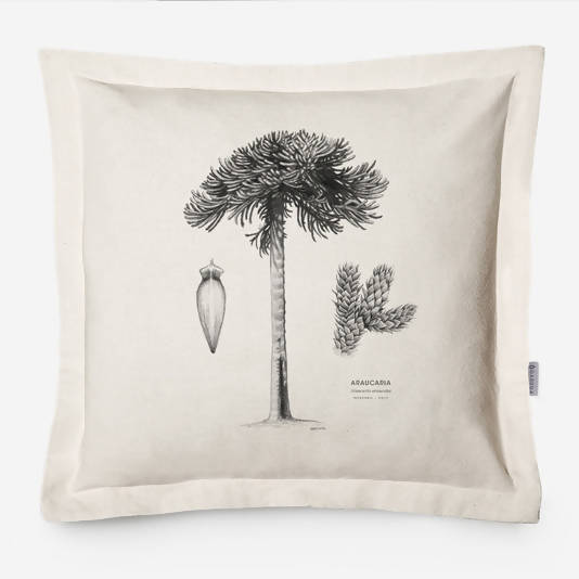 FUNDA COJÍN ARAUCARIA