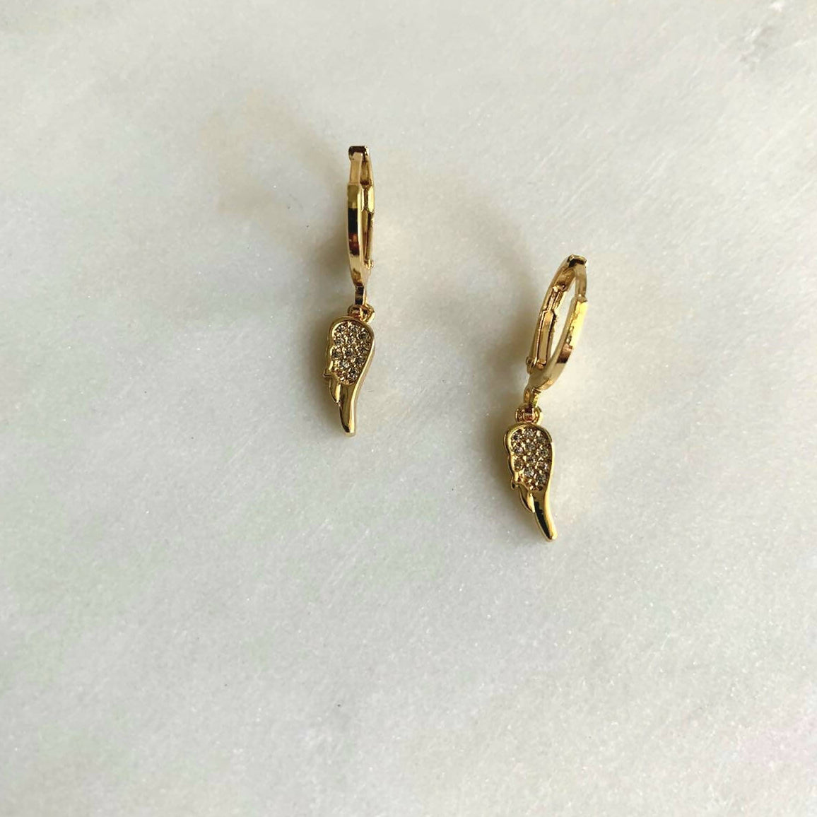 ARGOLLAS CON ALA COLGANDO