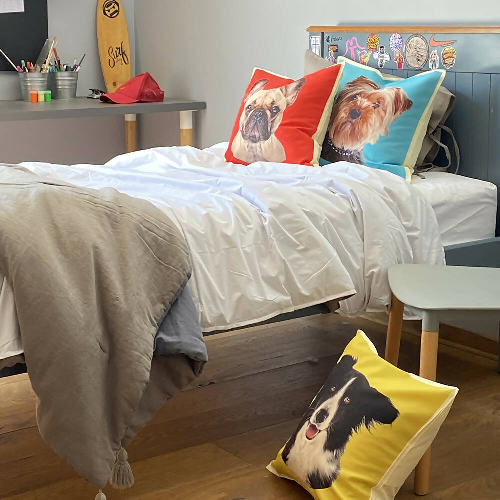 Cojín Color Border Collie, 45×45