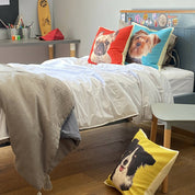 Cojín Color Border Collie, 45×45