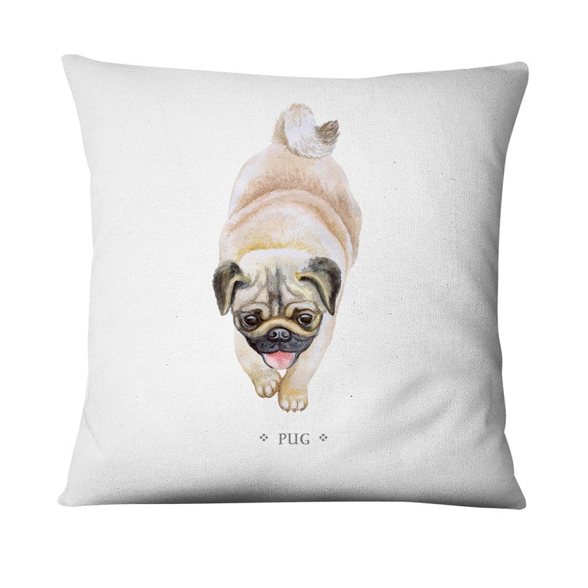 PERRO-PUG_840x_93cfb8a0-dcc7-48e9-b275-00080cd3ba08.jpg