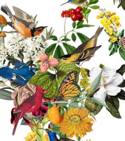 Mapa del Mundo Paraíso - Lámina - Mappin