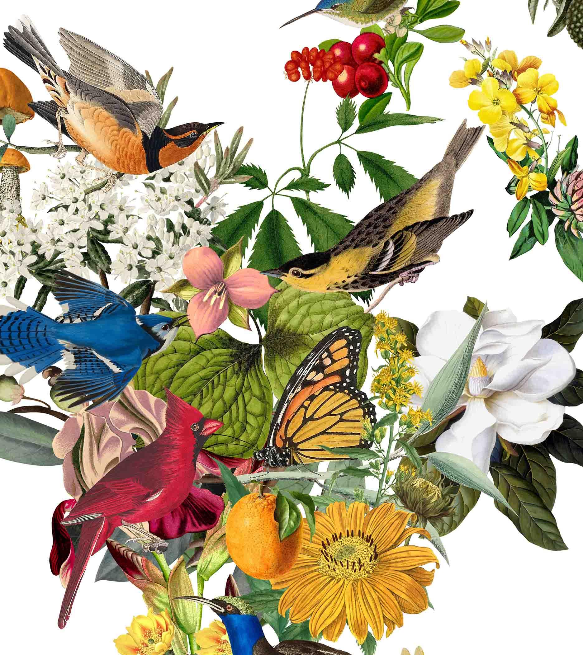 Mapa del Mundo Paraíso - Lámina - Mappin