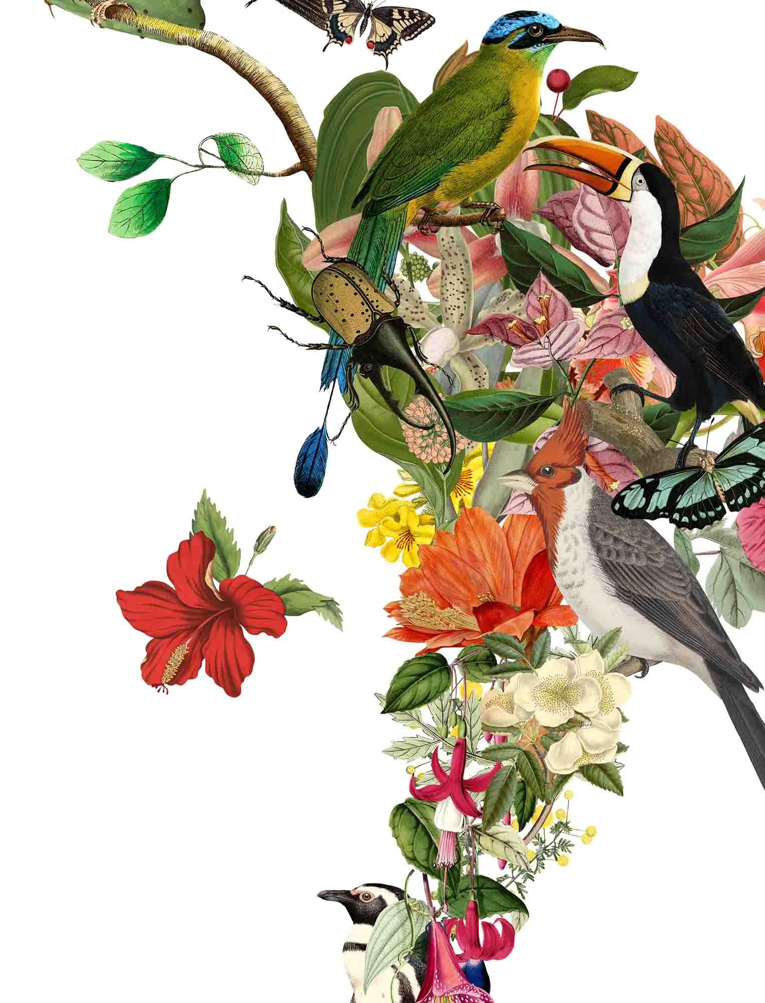 Mapa del Mundo Paraíso - Lámina - Mappin