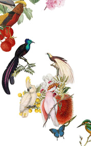 Mapa del Mundo Paraíso - Lámina - Mappin