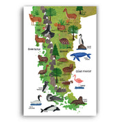 Patagonia Ilustrada - Lámina - Mappin