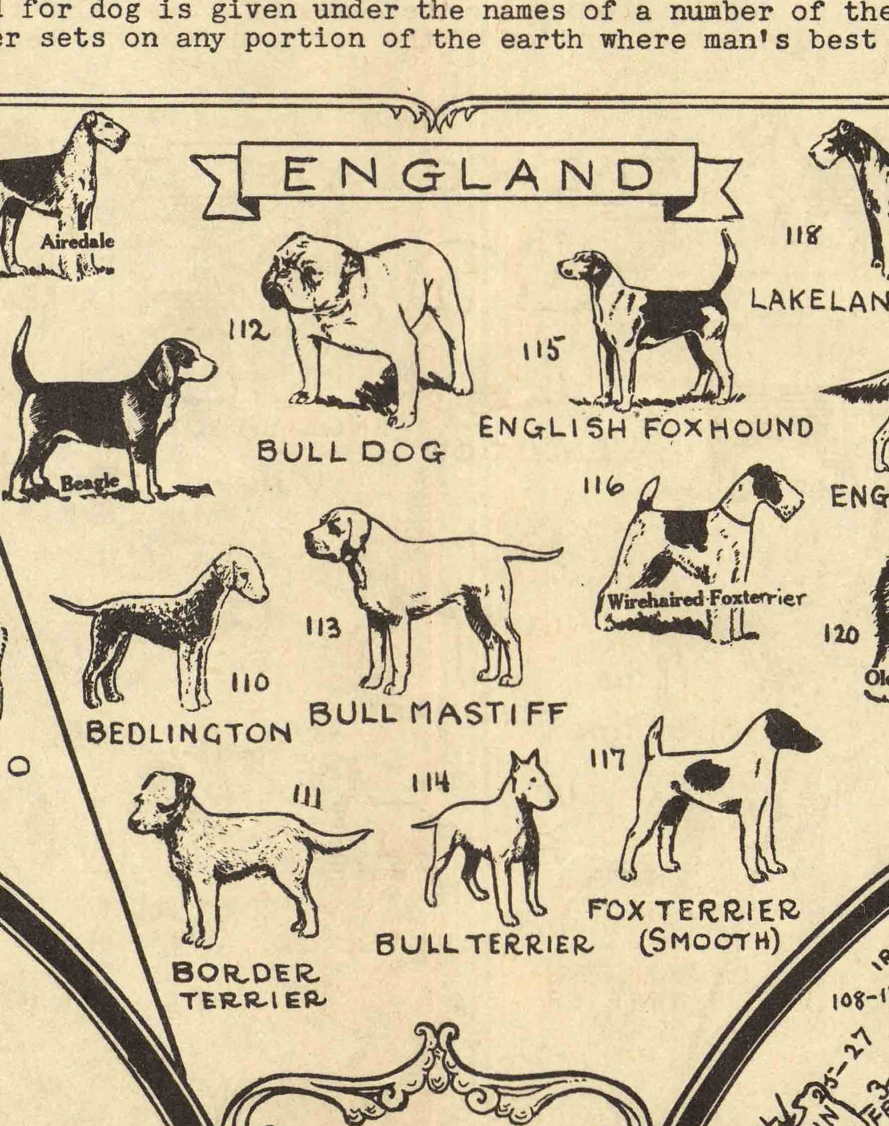 Mapa Antiguo de Perros del Mundo - Enmarcado A PEDIDO