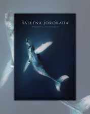 Poster Ballena Jorobada - Lámina
