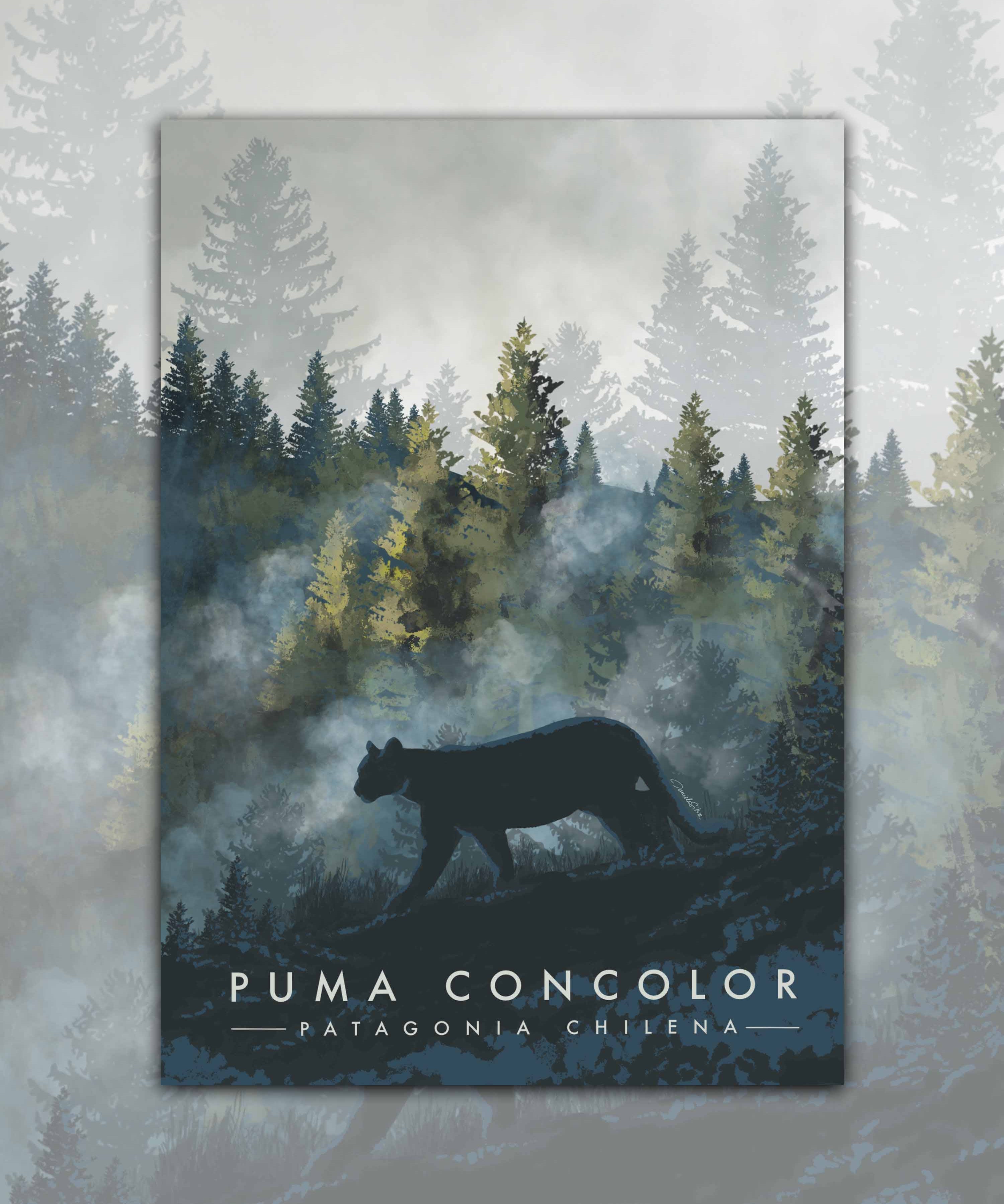 PosterPumaConcolor-WEB_b3f45ad2-667f-4e1c-9d98-217580b54990.jpg