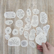 Kit parches para bordar florcitas