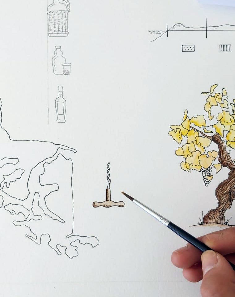 Vinos de Chile 2022 - Lámina