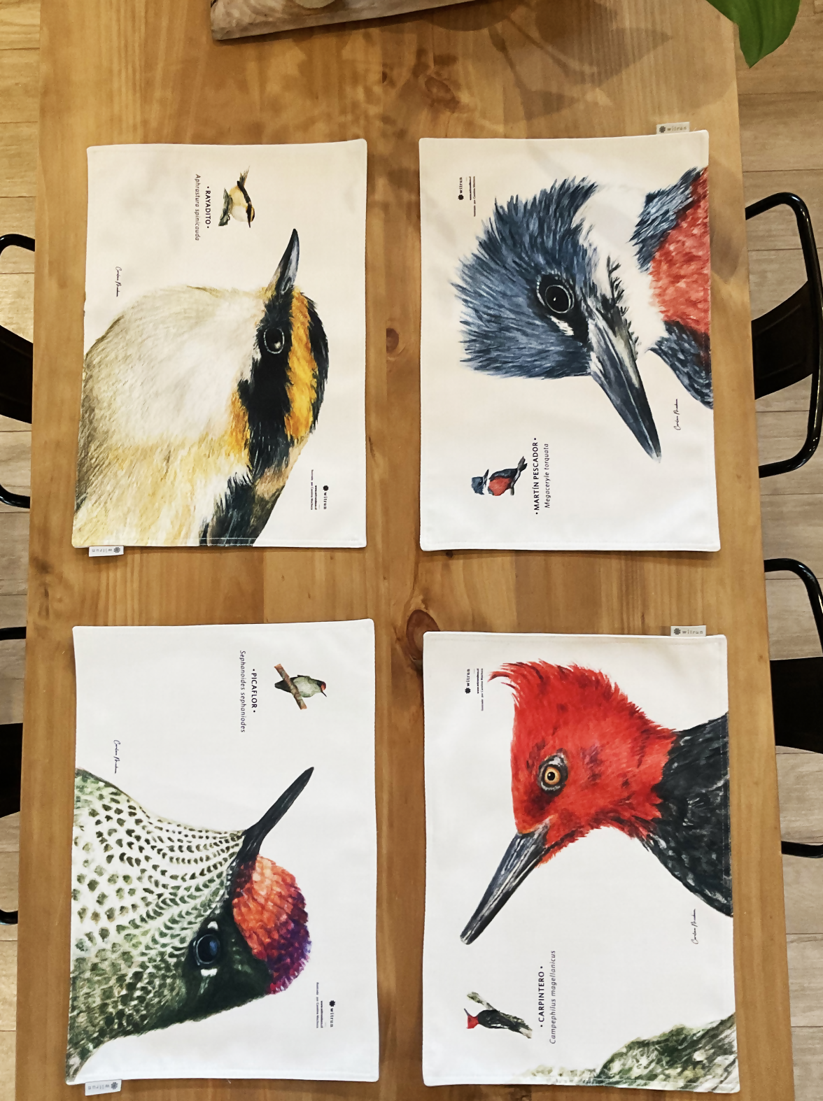 SET 4 INDIVIDUALES DISEÑO AVES I