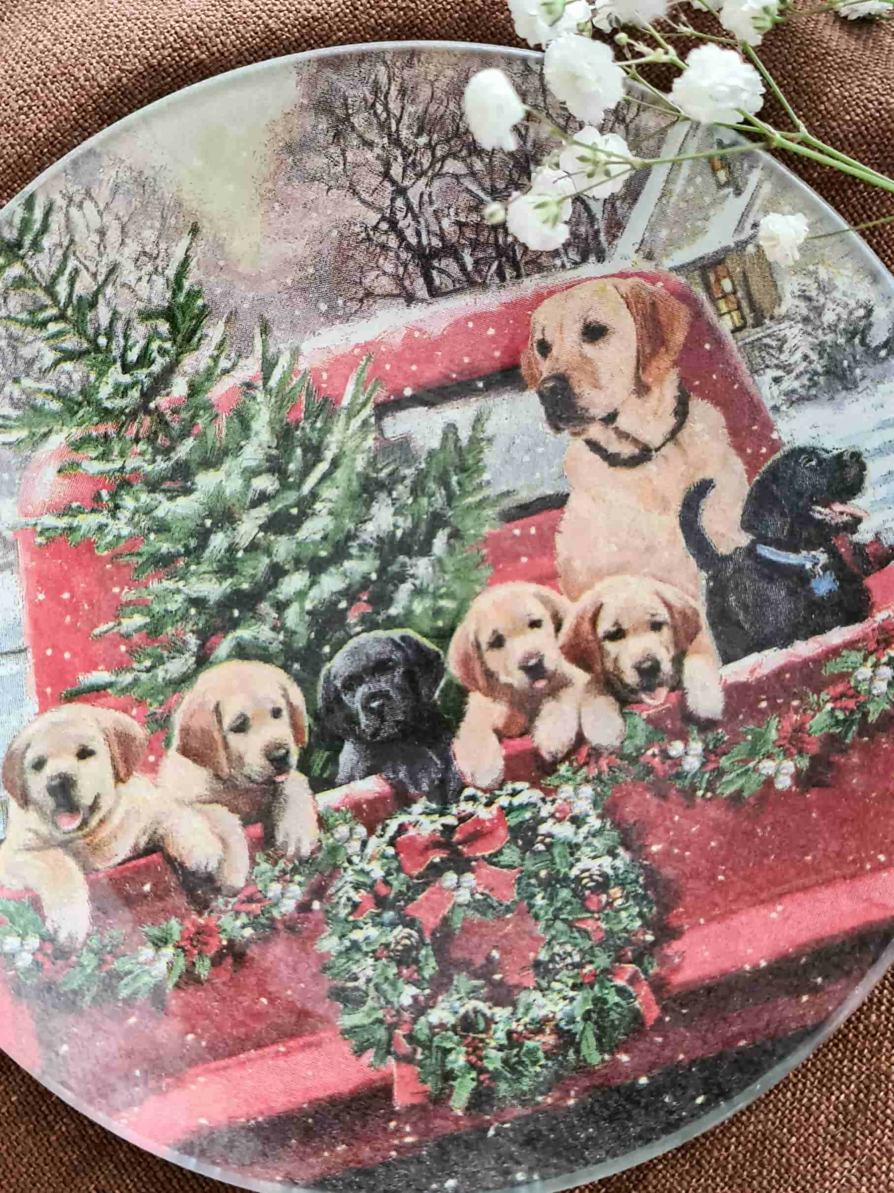Conjunto Platos redondo Navidad Familia de cachorros