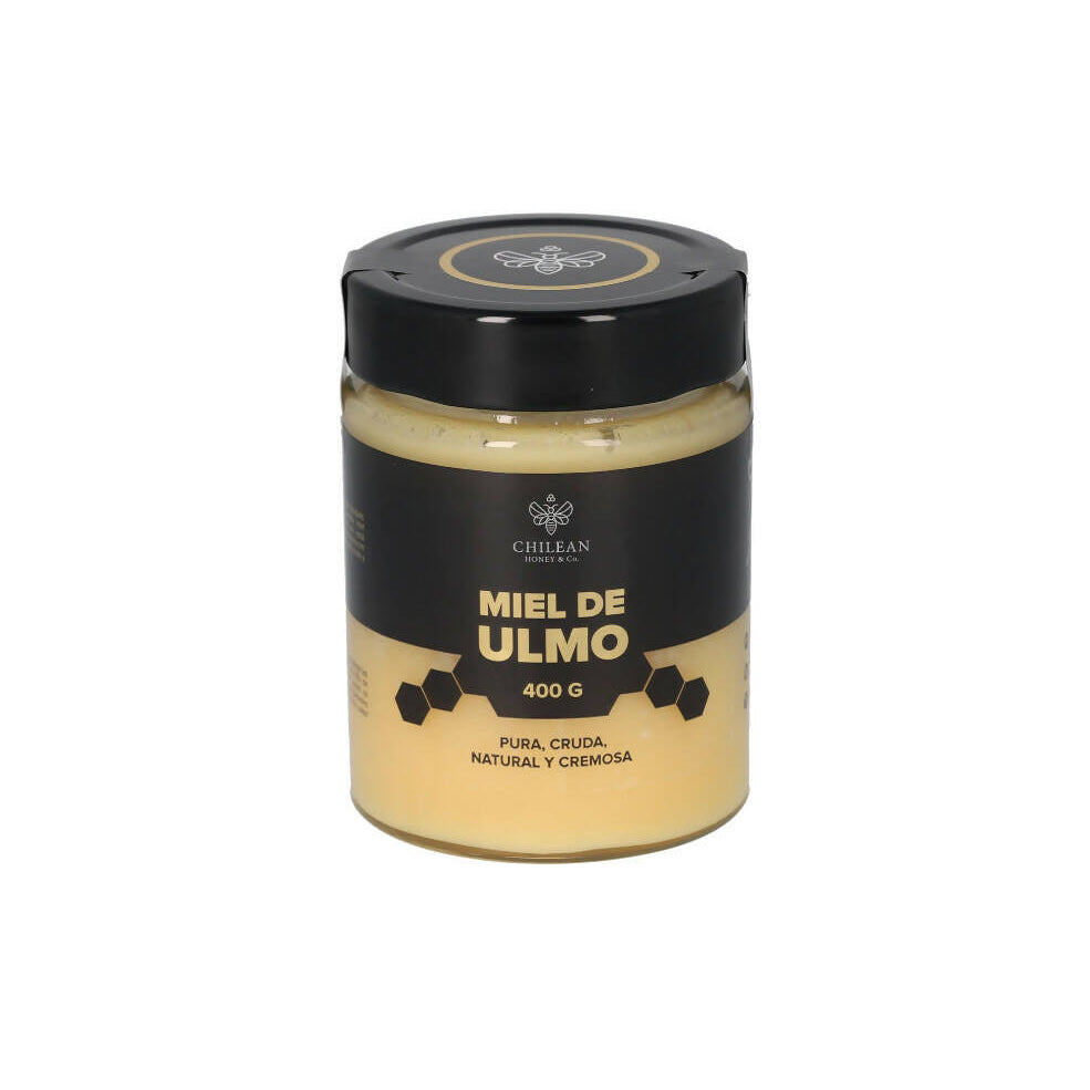 Miel De Ulmo 400 G - Creado en Chile