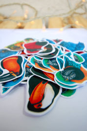 Set de stickers pequeños