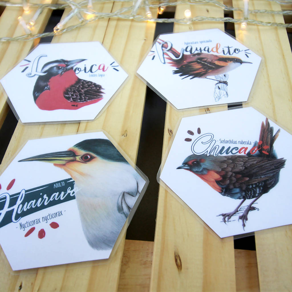 Juego Memorice: Aves de Chile