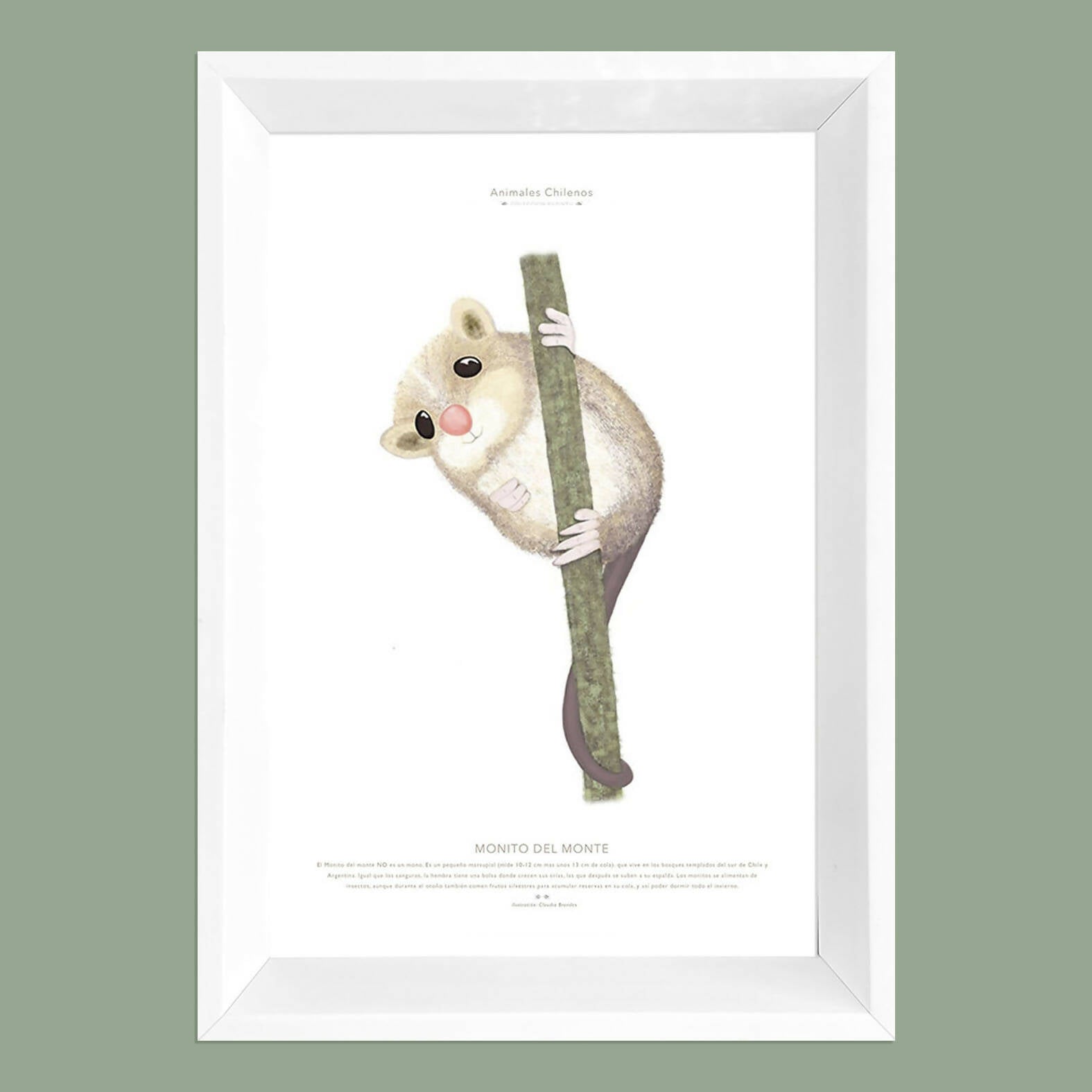 Cuadro MONITO DEL MONTE, colección Fauna Chilena, 20x30cm