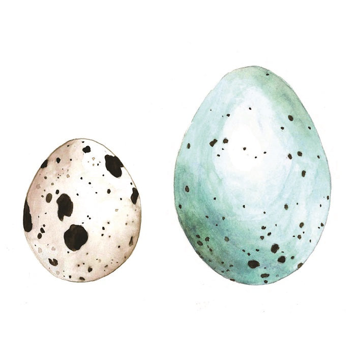 Autoadhesivo - Huevos