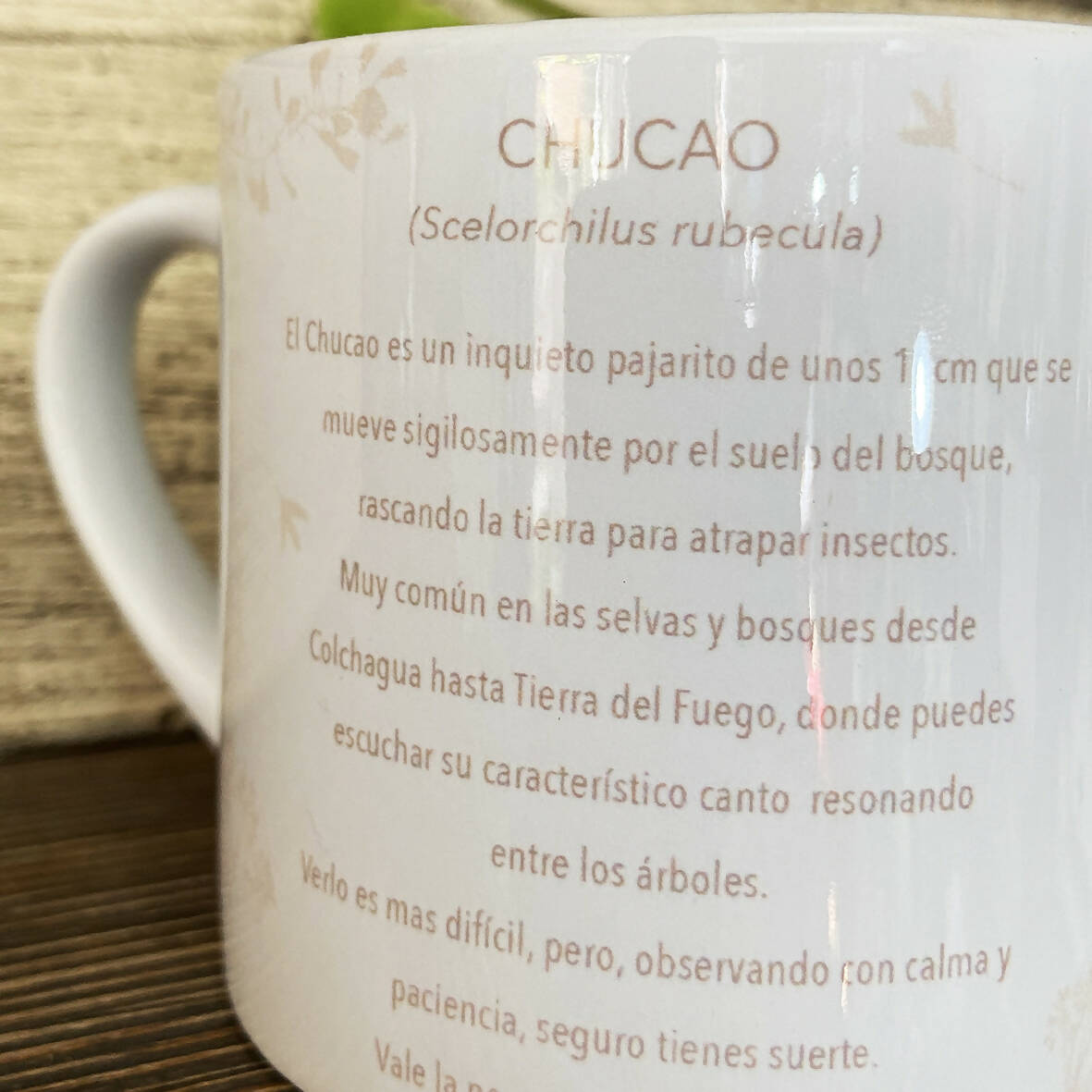 Taza de café Chucao, pajaritos chilenos