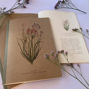 Libreta Craft Flora Nativa