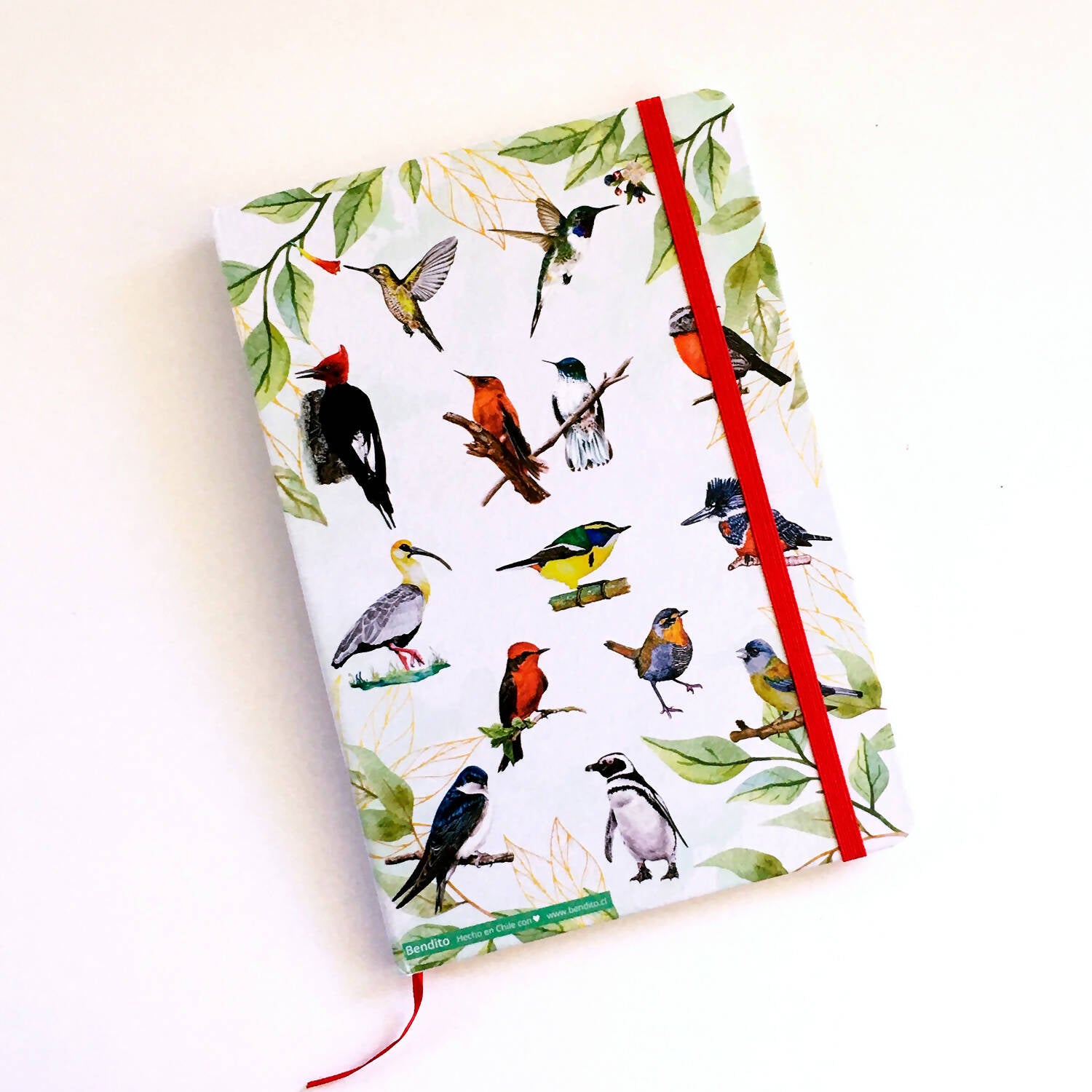 Cuaderno Aves chilenas