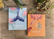 Caja Mar Botánico con 44 láminas para colorear