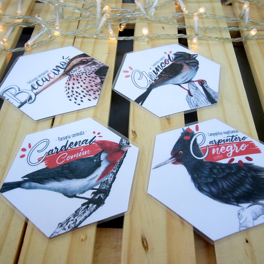 Juego Memorice: Aves de Chile