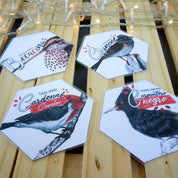 Juego Memorice: Aves de Chile