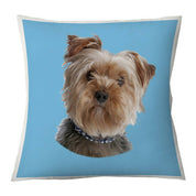 Cojín Color Yorkshire, 45×45