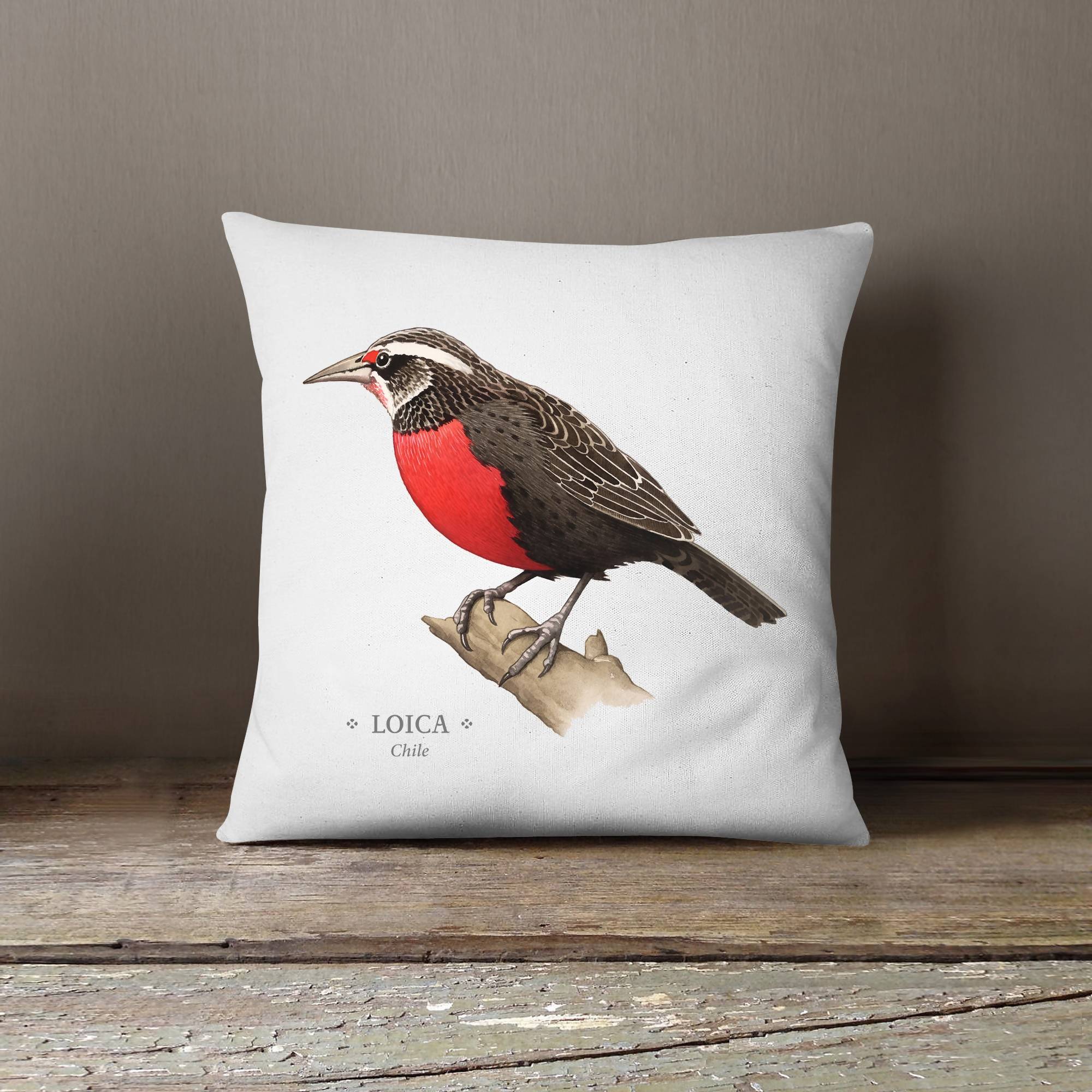 Funda cojín Loica