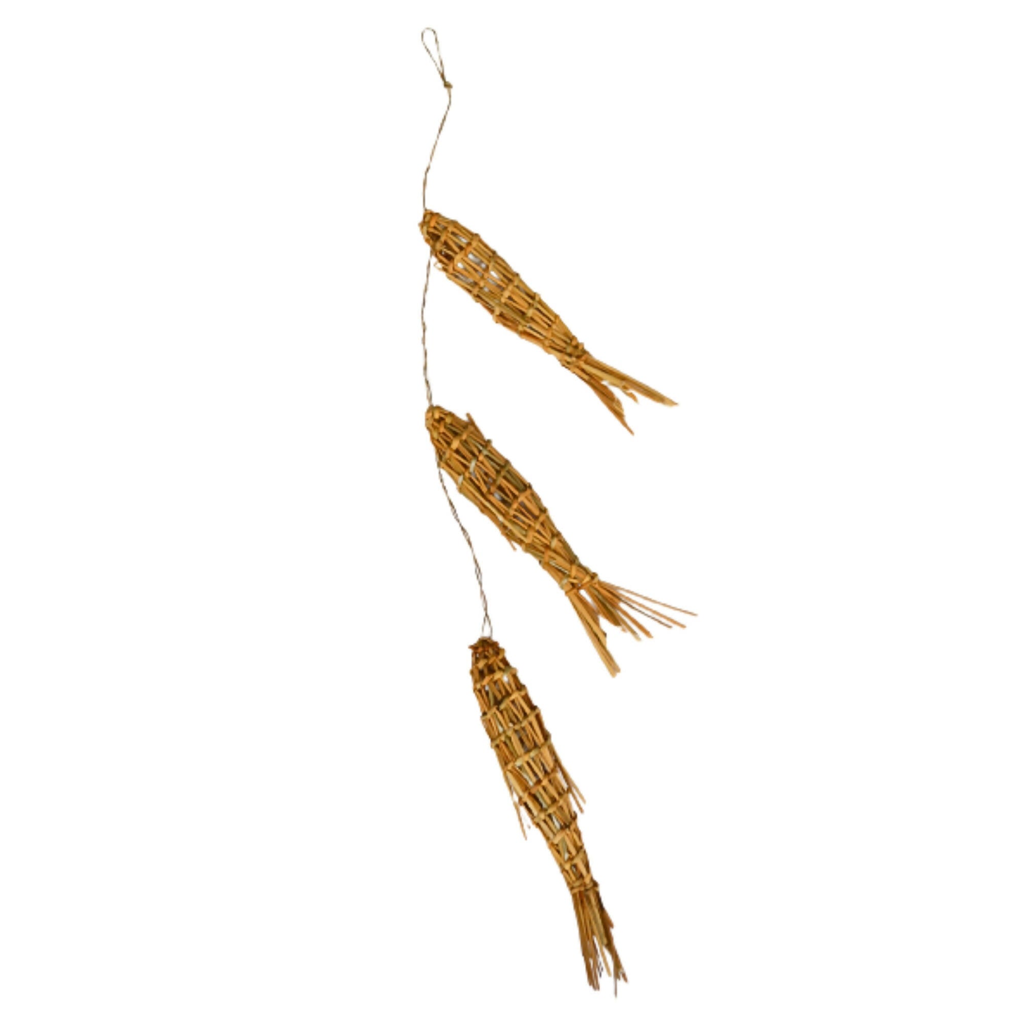 kimpe de pescados de junquillo