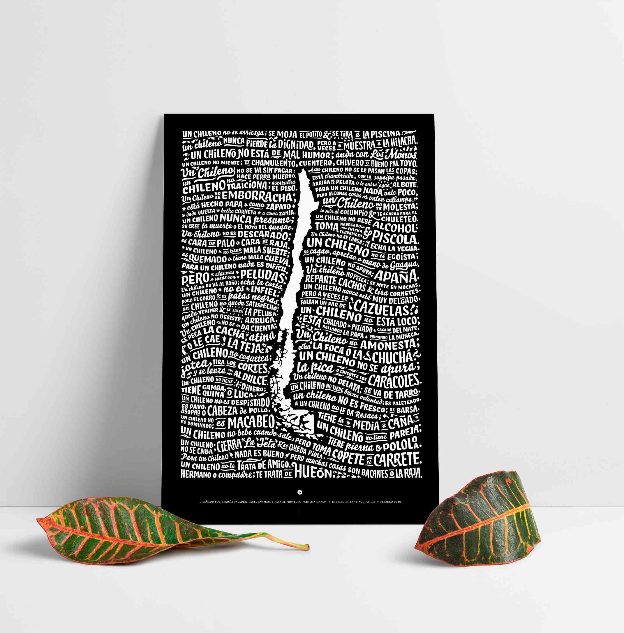 UnChilenoNegroMiniHojasWeb_8f4c58fa-cfa6-47da-bbc3-a198b3828d16.jpg