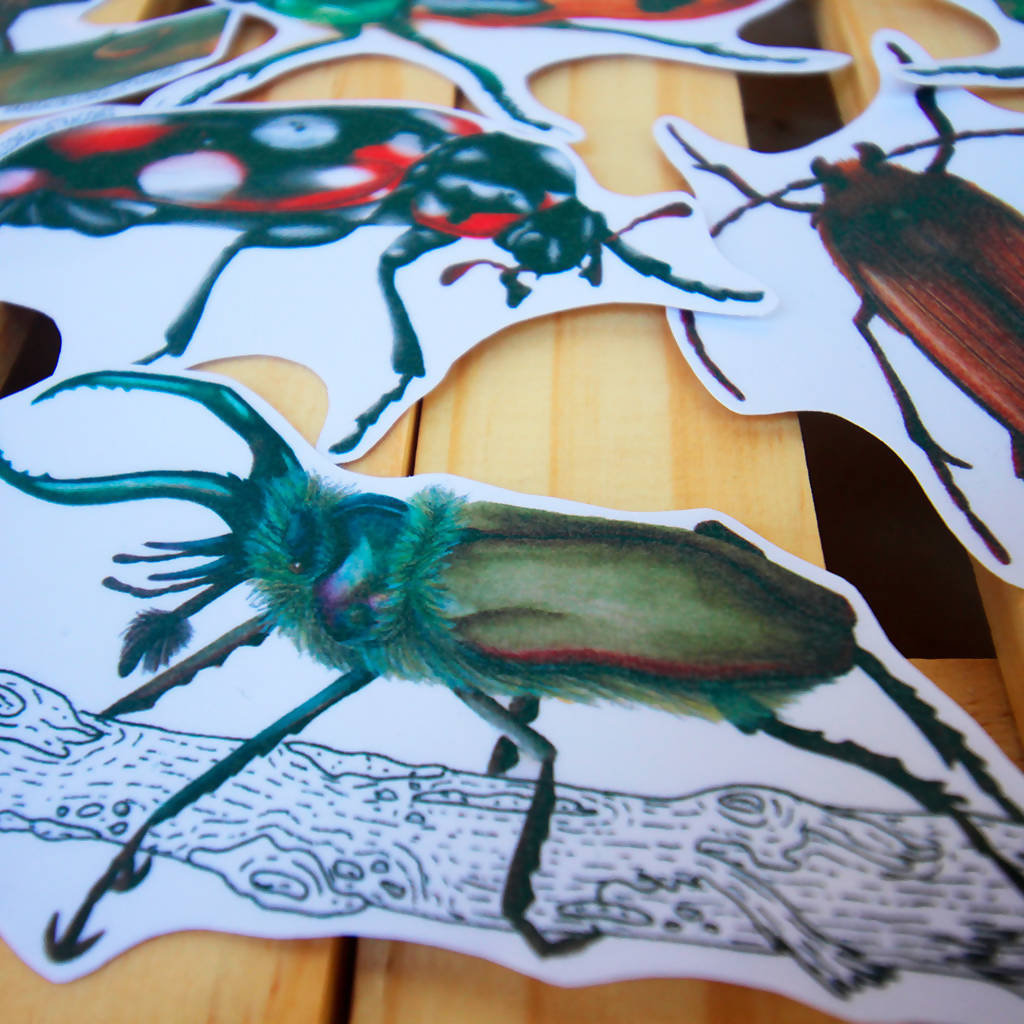 Set de Stickers: "Coleópteros de Chile"