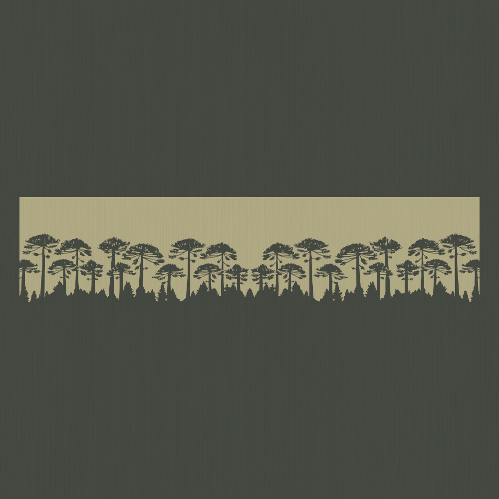 Polera Bosque Nativo Orgánica